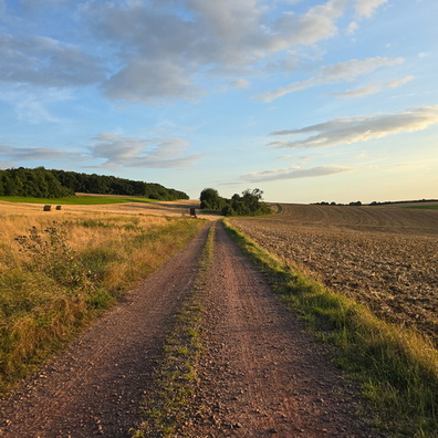 20240808_202542.jpg