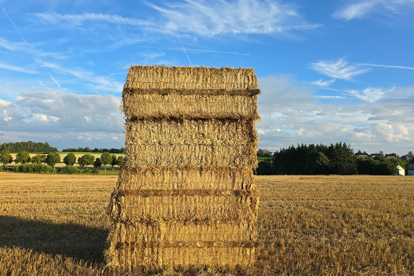 A pile of haystacks