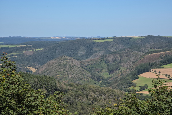 Viewpoint at Niklosbierg