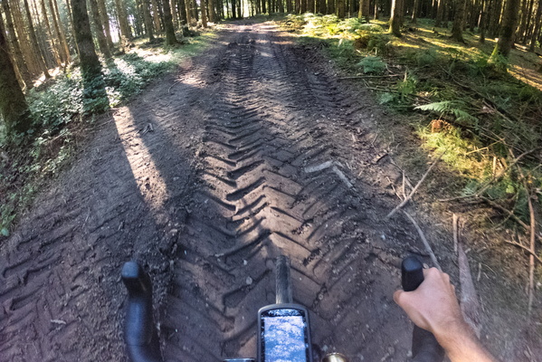 Tried a new track near the Vëlo via Norden route