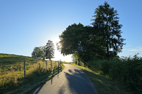 Sun showing between tree branches near Oberwampach