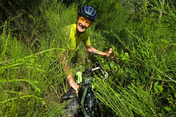 Overgrown crossing challenge