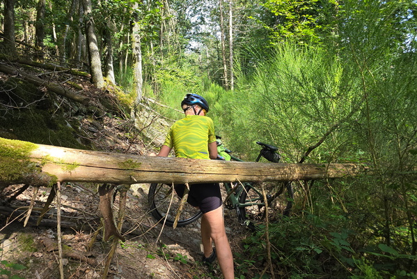 Just a normal bike adventure
