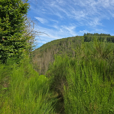 20240811_160438.jpg