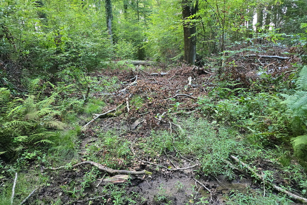 Decayed or just damaged, this track?