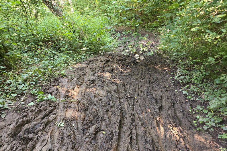 20240812_172715.jpg