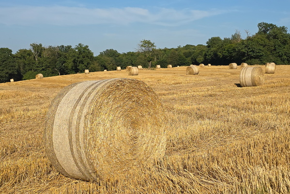 Haystacks