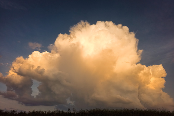 Just a little bit of fluff in the sky