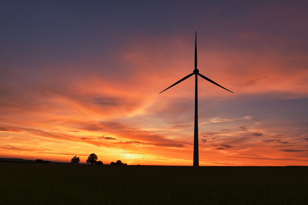 The guardian of the sunset