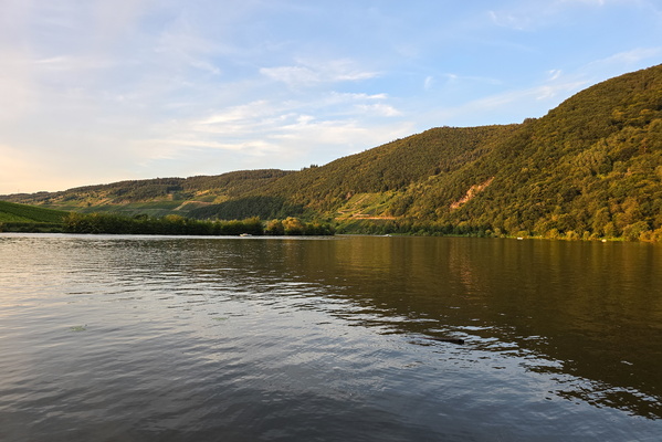 Moselle-ing around at golden hour