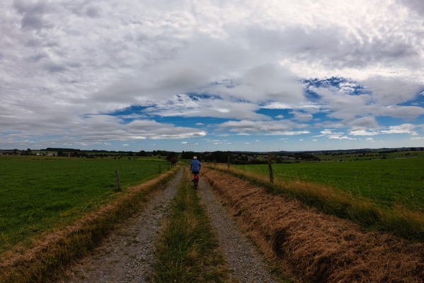 Track near Longvilly