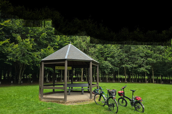 Bois de la Paix memorial near Bastogne