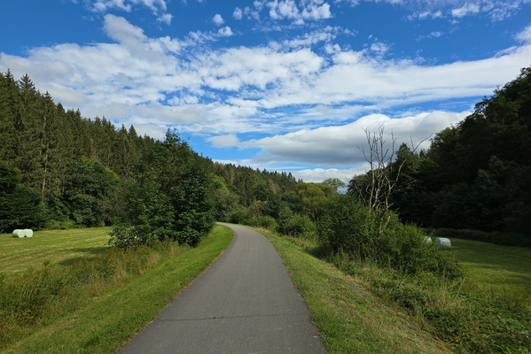 Piste cyclable de la Wiltz near Winseler