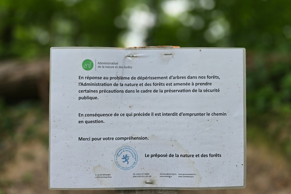 Closed dangerous forest path