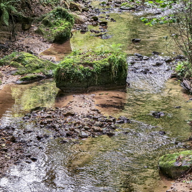 20240818_162406.jpg