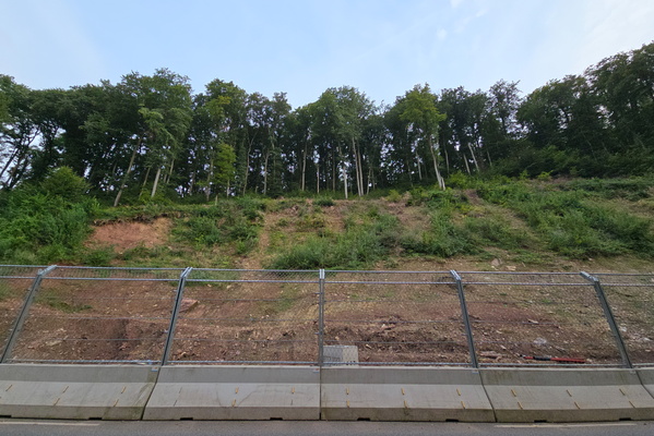 Rosport’s new attraction: The scenic landslide