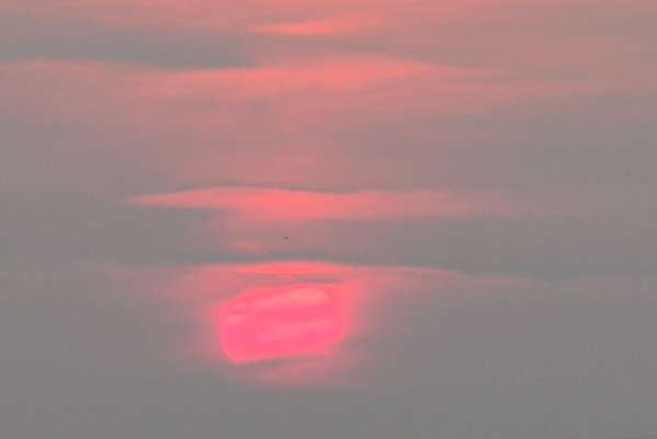 Sun's going to bed with a pink blanket