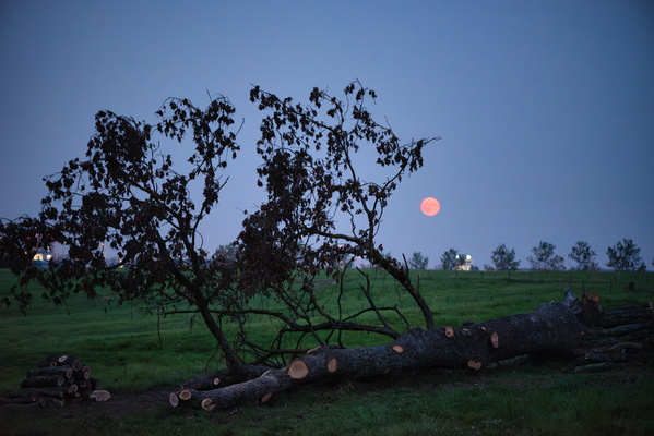 Mooning the timber