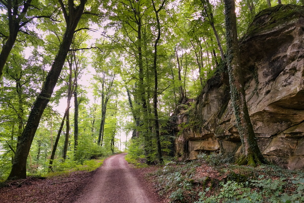 A pathway to serenity