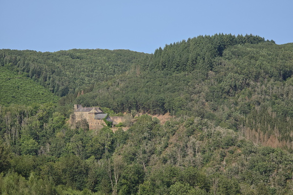 Just a castle and a forest hill at a viewpoint