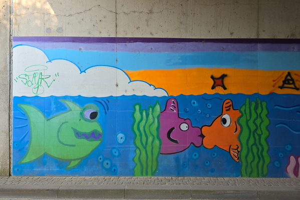 Fishy story under the bridge