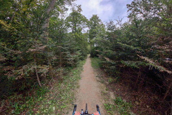 Great bike ride in the woods