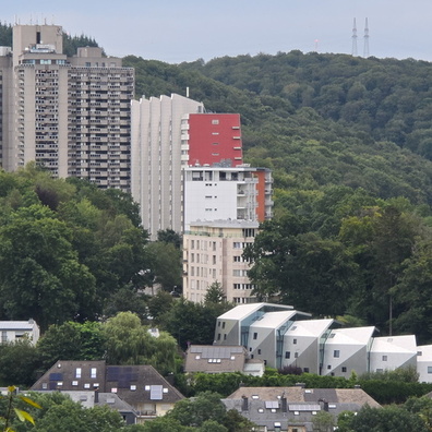 20240823_190706.jpg