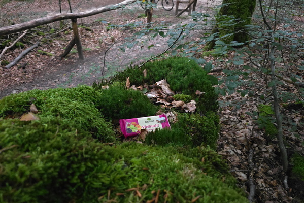 Scavenger hunt #2