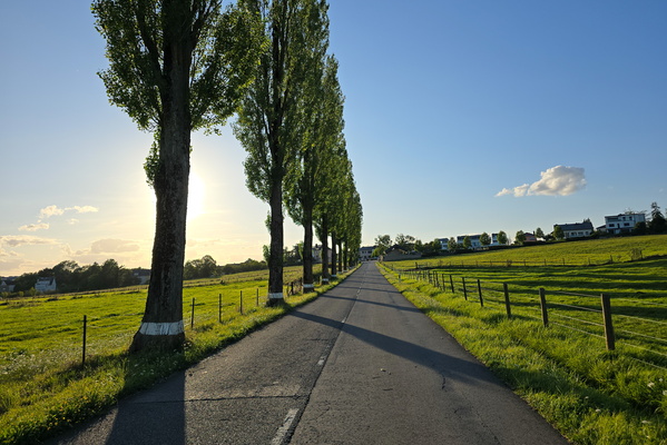 The road to the setting sun