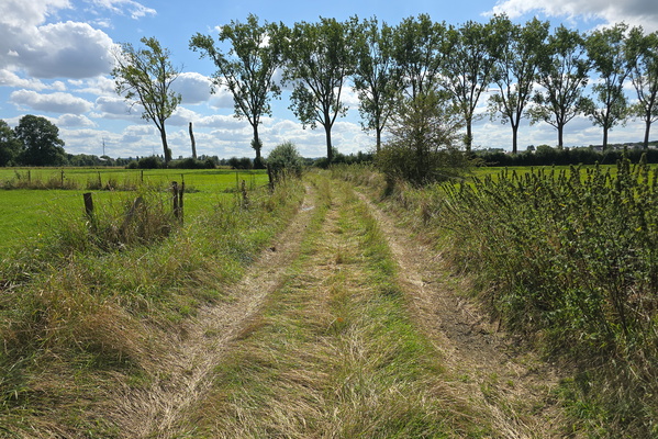 Off the beaten track