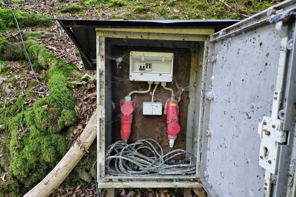 Just an electrical box in the woods. Absolutely riveting.