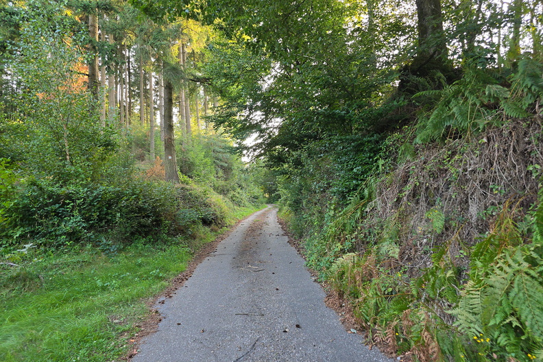 20240826_191636.jpg