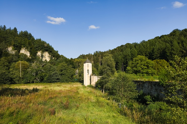 Nature's embrace: the tower of solitude