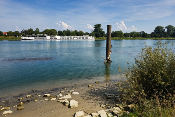 Bank of the Rhine