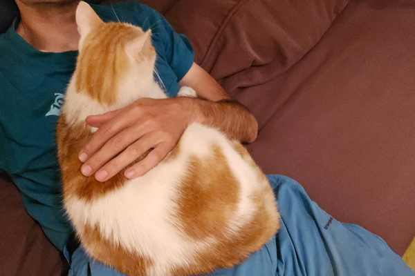 Cuddling Timmy