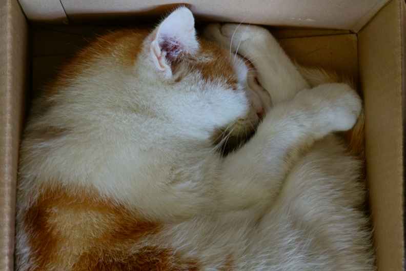 20240916_150414.jpg