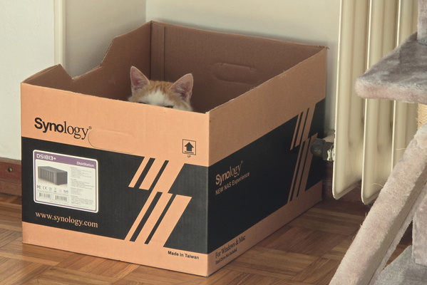 Timmy in a box