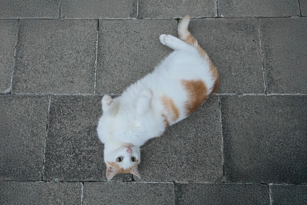 Timmy outside