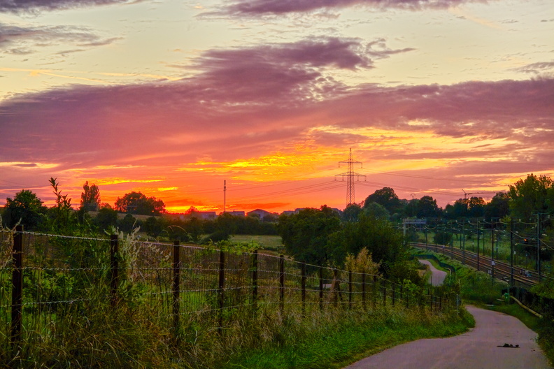 20240906_201046.jpg