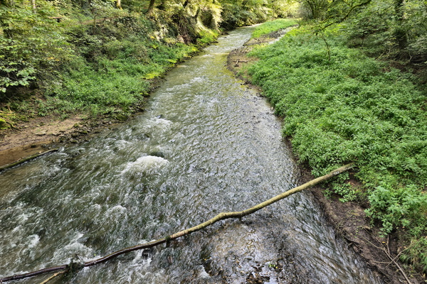 Going with the flow