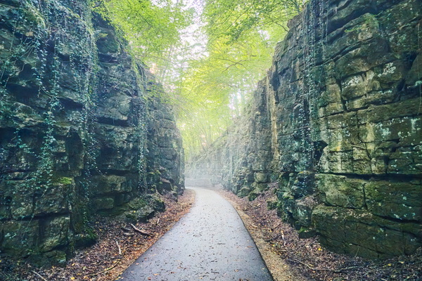 This canyon, again!
