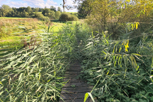 The hidden path