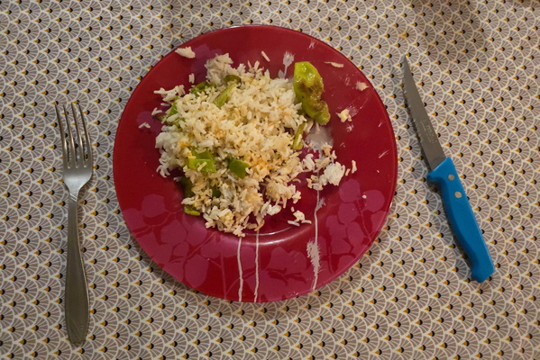 Dinner from the garden (except the rice)