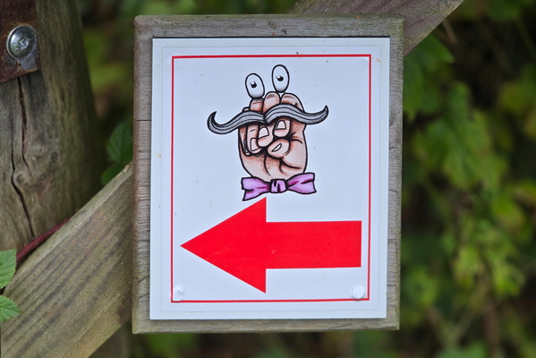 This way, friend!