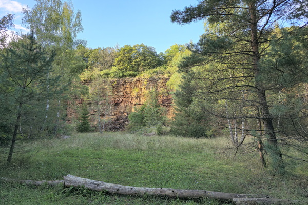 Rock face and a bit of tree