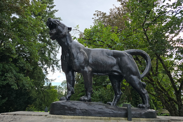 The silent sentinel of the park