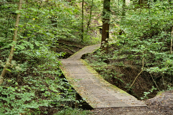 A hidden path to tranquility
