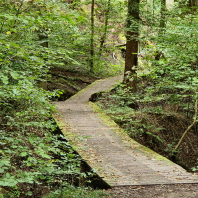 20240913_162947.jpg