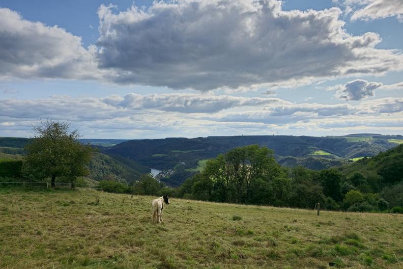20240914_160913.jpg