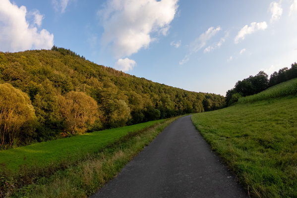 Peaceful cycle path winds through a green landscape